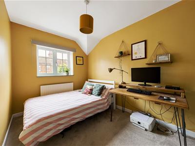 Picture 15